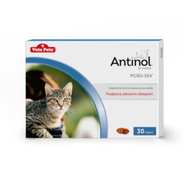 Antinol kapsule za podporo zdravim sklepom za mačke, 30 kapsul