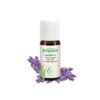 Bergland eterično olje prava sivka (Lavandula angustifolia), 10 ml