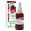 Soria Natural Ameriški slamnik XXI kompleks, 50 ml